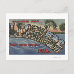 Leesburg, Florida - Large Letter Scenes Postcard