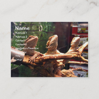 Leezerds Business Cards