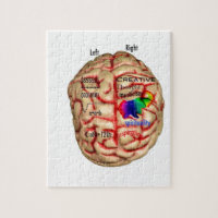 Left and Right Side of Brain