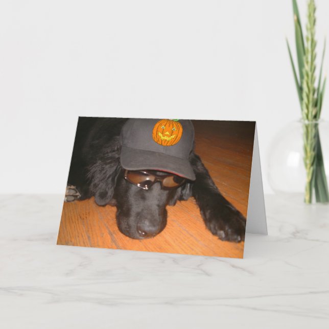 Left Behind This Halloween Card (Front)