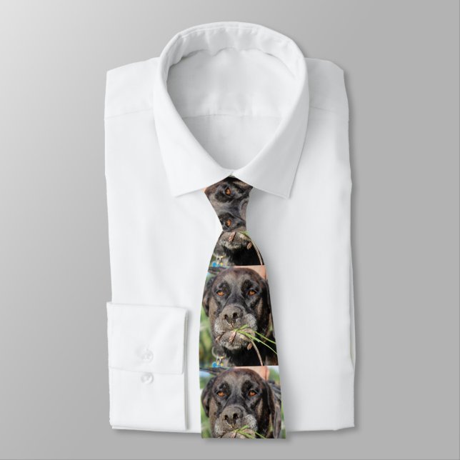 Lefty & The Vole Tie (Tied)