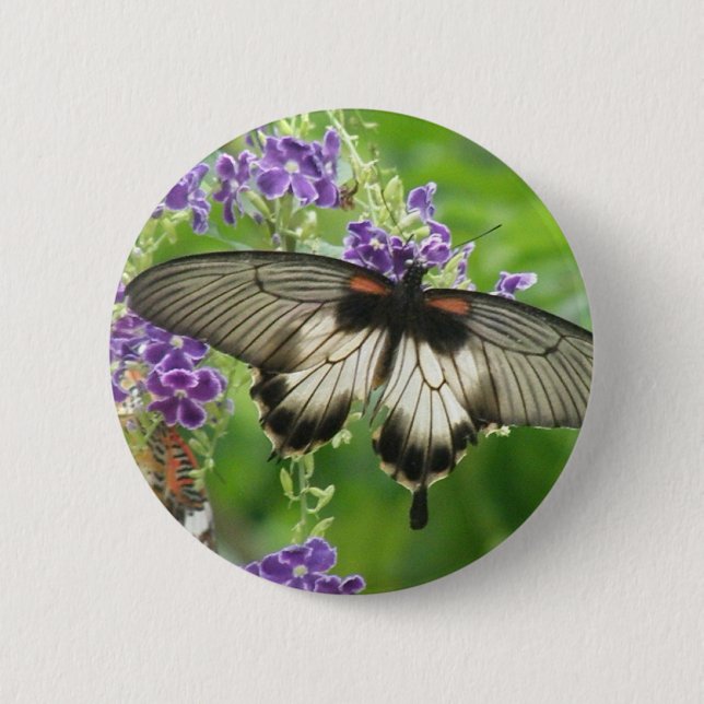 Legend of Butterflies Button (Front)