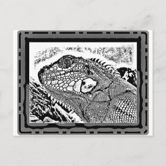 Leguan black/white postcard