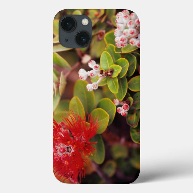 Lehua Blossoms In Hawaii Volcanoes Case-Mate iPhone Case (Back)