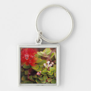 Lehua Blossoms In Hawaii Volcanoes Key Ring