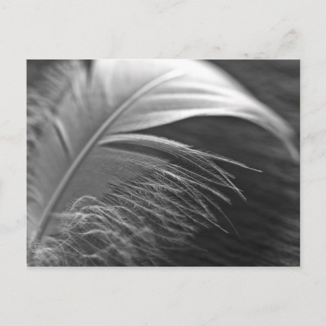 Leichtigkeit Postcard (Front)