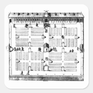 Leiden Botanic Garden (engraving) (b/w photo) Square Sticker