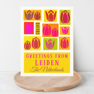 Leiden Noordholland Netherlands tulip Postcard