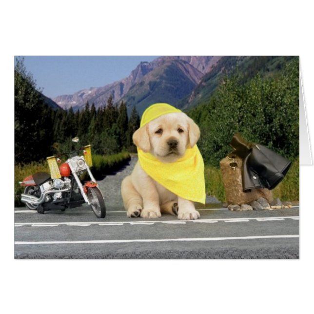 Leigh Ann week 5 (Front Horizontal)