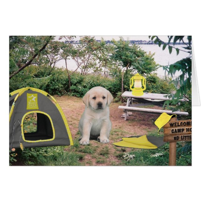 Leigh Ann week 6 (Front Horizontal)