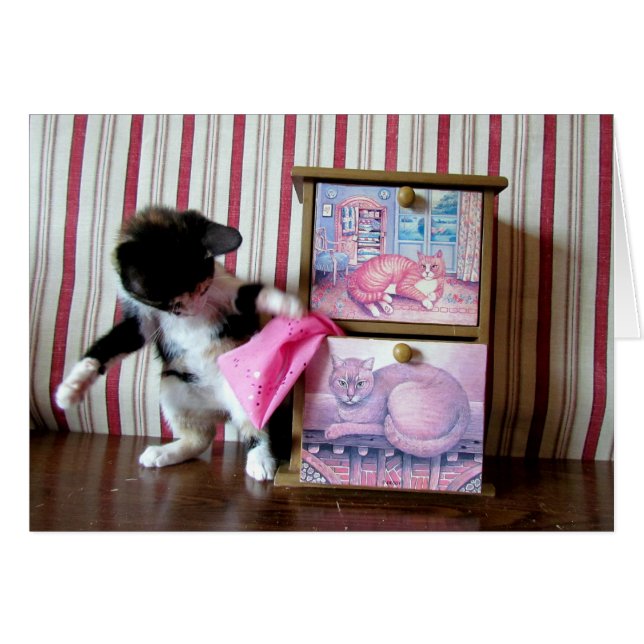 Leilani's Wardrobe Series - Card 3 (Front Horizontal)