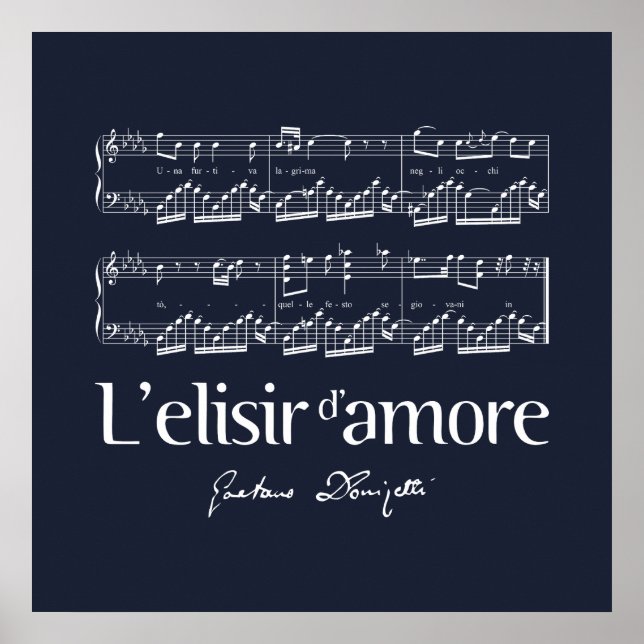 L'elisir d'amore 2 poster (Front)