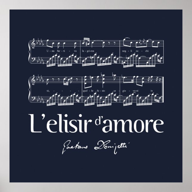 L'elisir d'amore 2 poster (Front)