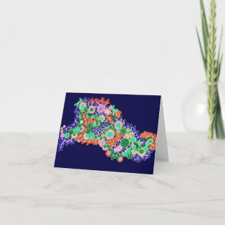 Leliza Designs Blank Note Card