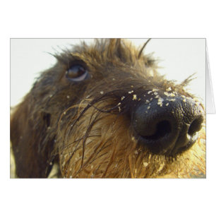 Lemme think about that.....