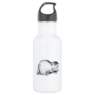 Lemming 532 Ml Water Bottle