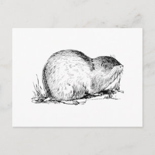 Lemming Postcard