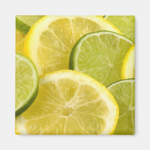 Lemon and Lime Slices Magnet