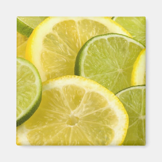 Lemon and Lime Slices Magnet (Front)