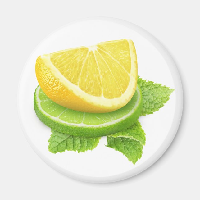 Lemon and lime slices magnet (Front)