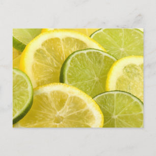 Lemon and Lime Slices Postcard