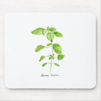 Lemon balm herb watercolor garden