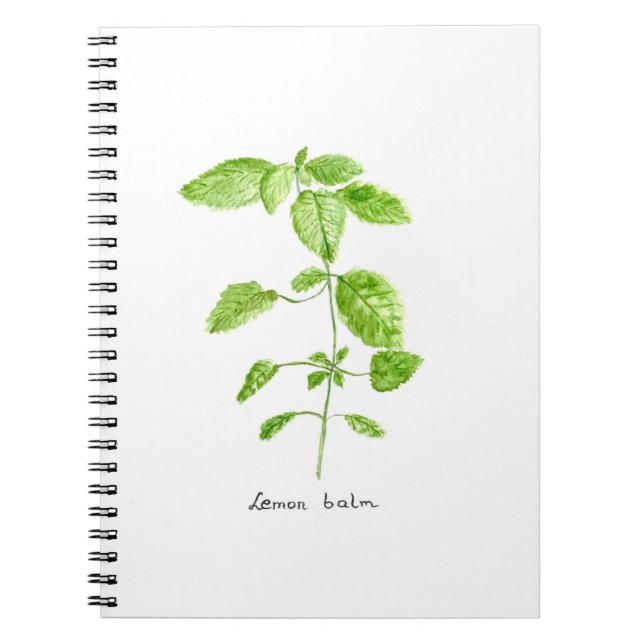Lemon balm herb watercolor garden notebook (Front)