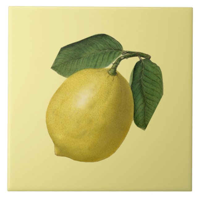 Lemon Botanical ~ Kitchen ~ Any Colour Background Ceramic Tile (Front)