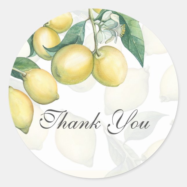 Lemon Branches White & Yellow Country Rustic Favou Classic Round Sticker (Front)