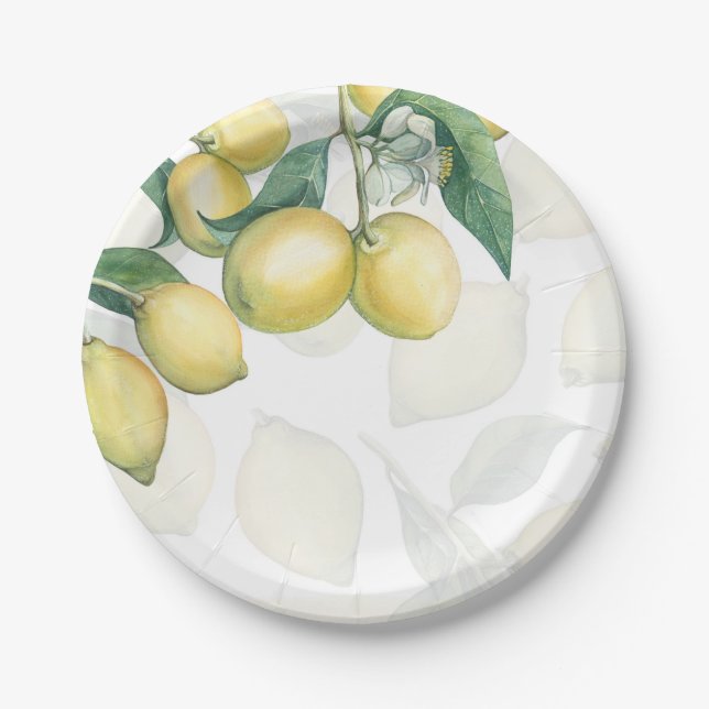 Lemon Branches White & Yellow Country Rustic Party Paper Plate (Front)