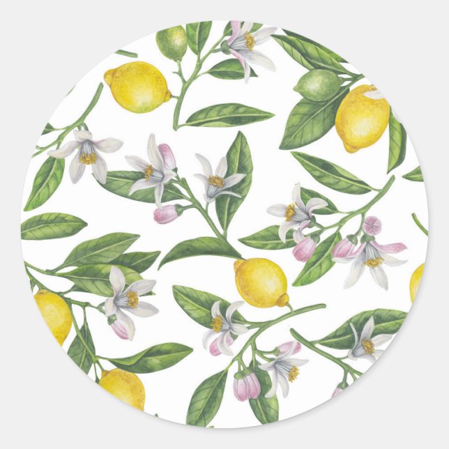 Lemon branches with blossoms and fruit on white classic round sticker (Front)