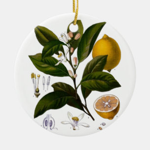 Lemon Ceramic Tree Decoration
