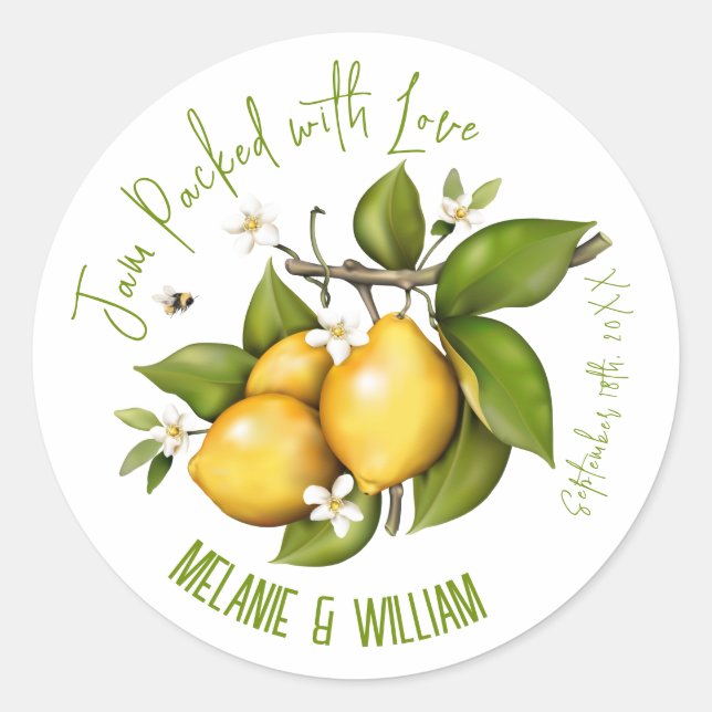 Lemon Citrus Botanical Classic Round Sticker (Front)