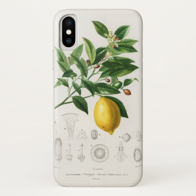 Lemon Citrus Fruit Botanical Limonium Illustration Case-Mate iPhone Case (Back)
