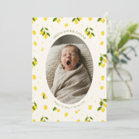Lemon Citrus Oval Photo Newborn Baby Birth Stats