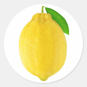 Lemon Classic Round Sticker