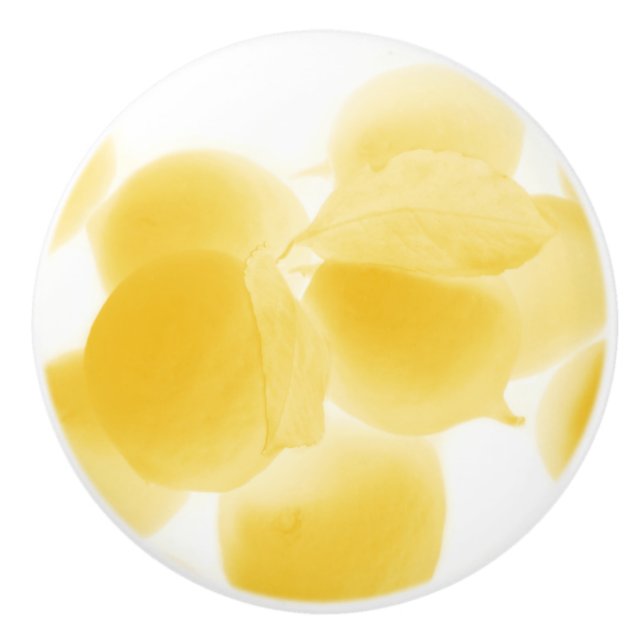 lemon dream ceramic knob (Front)