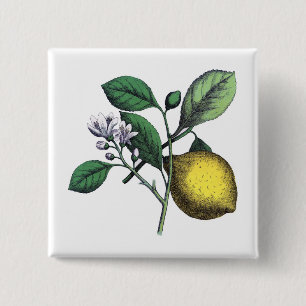 Lemon, "fruit and flower" 15 cm square badge