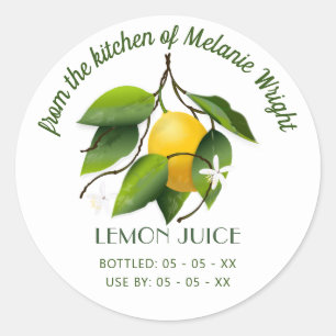 Lemon Fruit Canning Classic Round Sticker