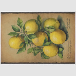 Lemon Fruit Illustration Ephemera No1 Tissue Paper