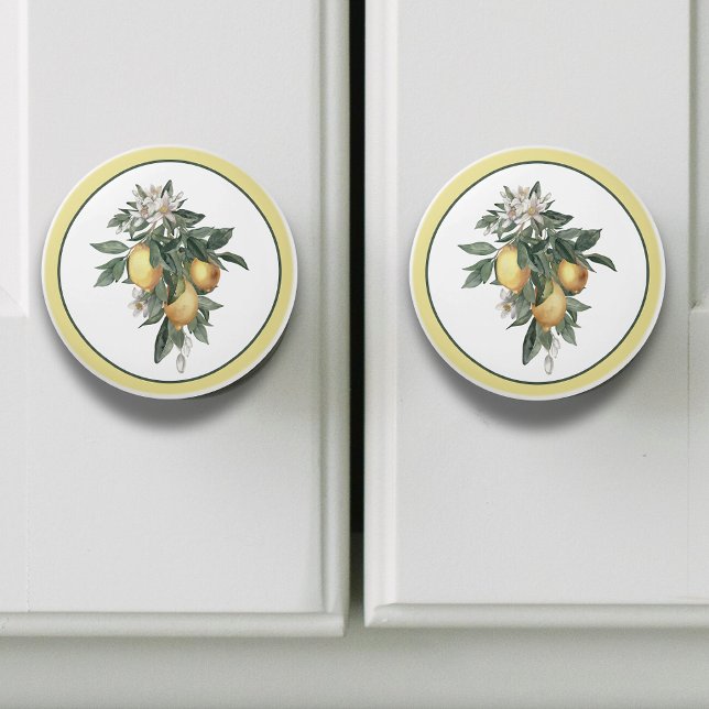 Lemon Fruit Round  Ceramic Knob (Creator Uploaded)