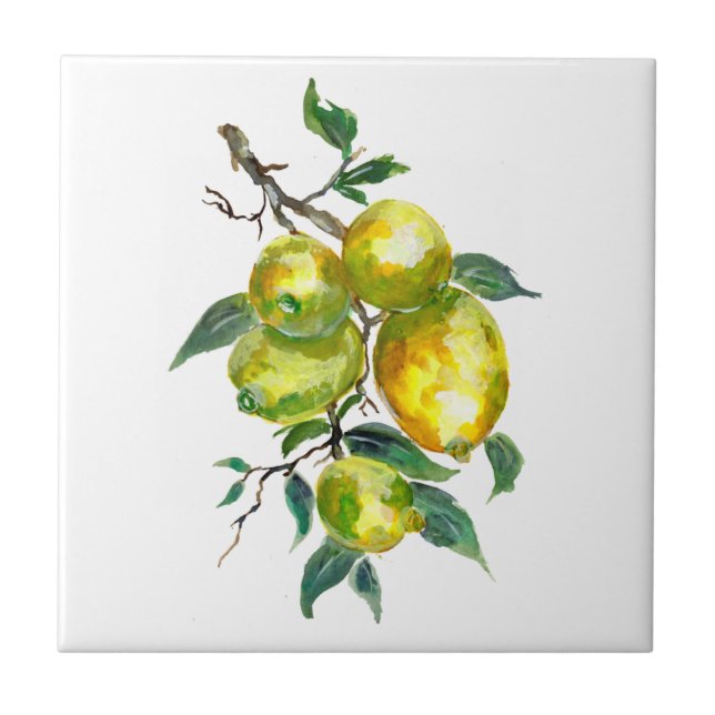 Lemon Fruits Tree Ceramic Tile (Front)