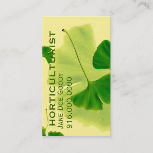 Lemon Grove Elegance: Ginkgo Leaves Business Card