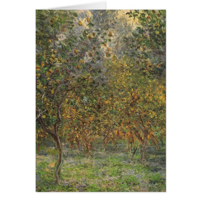 Lemon Grove in Bordighera by Claude Monet (Front)