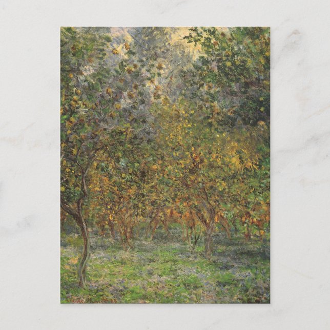 Lemon Grove in Bordighera by Claude Monet Postcard (Front)