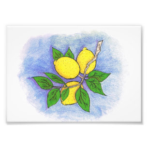 Lemon Illustration Photo Print