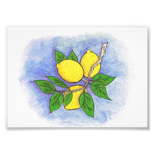 Lemon Illustration Photo Print (Front)