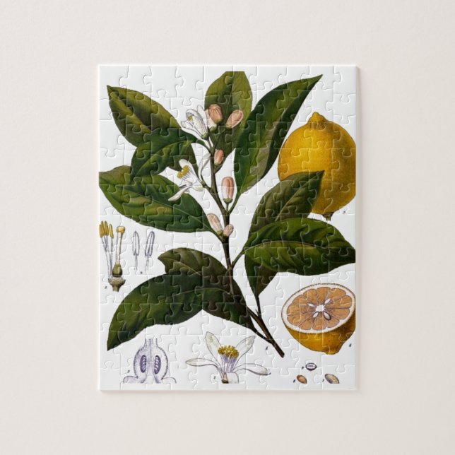 Lemon Jigsaw Puzzle (Vertical)