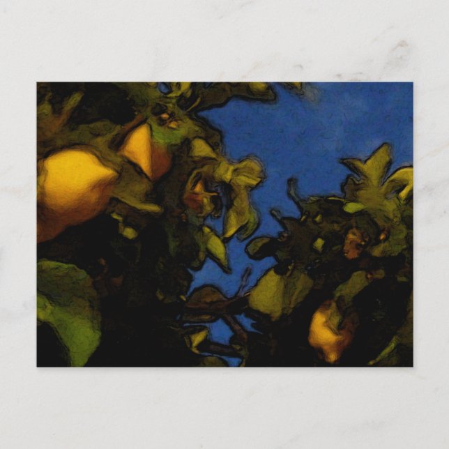 Lemon luck postcard (Front)