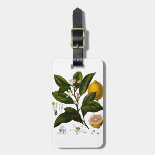 Lemon Luggage Tag
